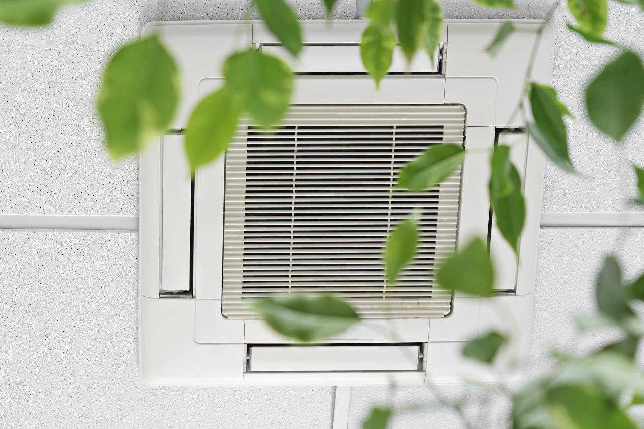 Cassette Air Conditioner on ceiling in modern light office with green ficus plant leaves.