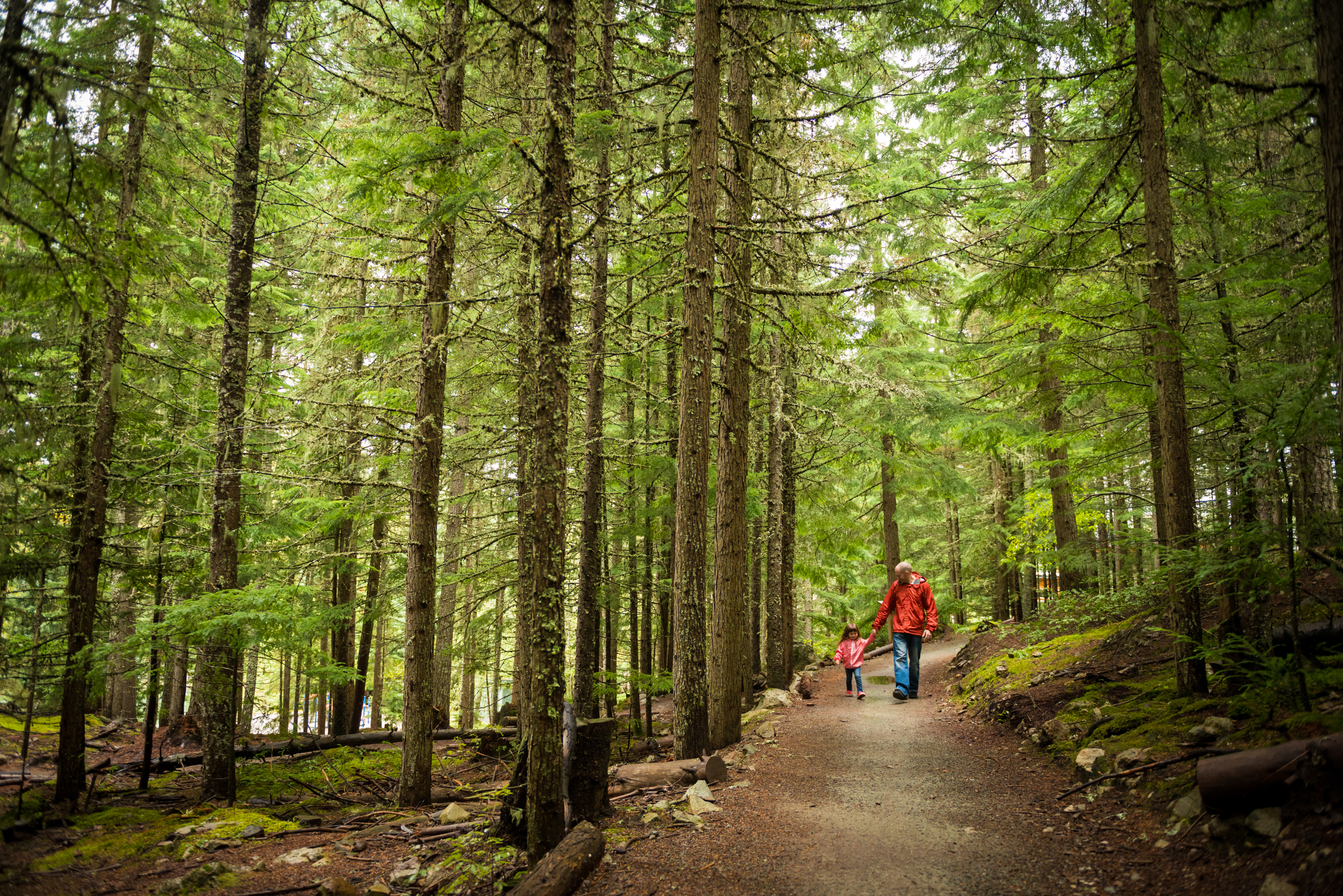 Dad and daughter hiking in woods