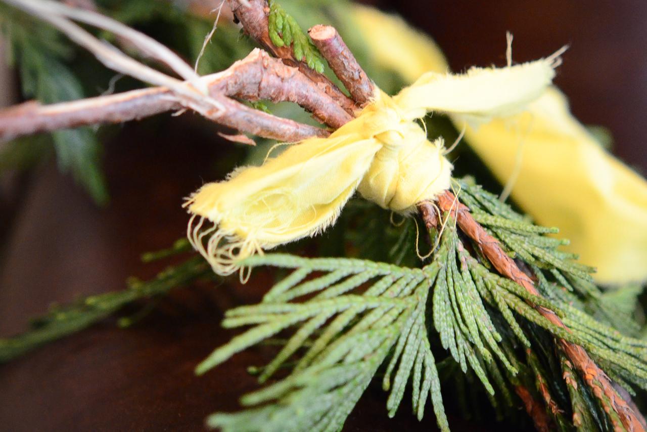 Closeup of ced boughs tied together laying on a desk.