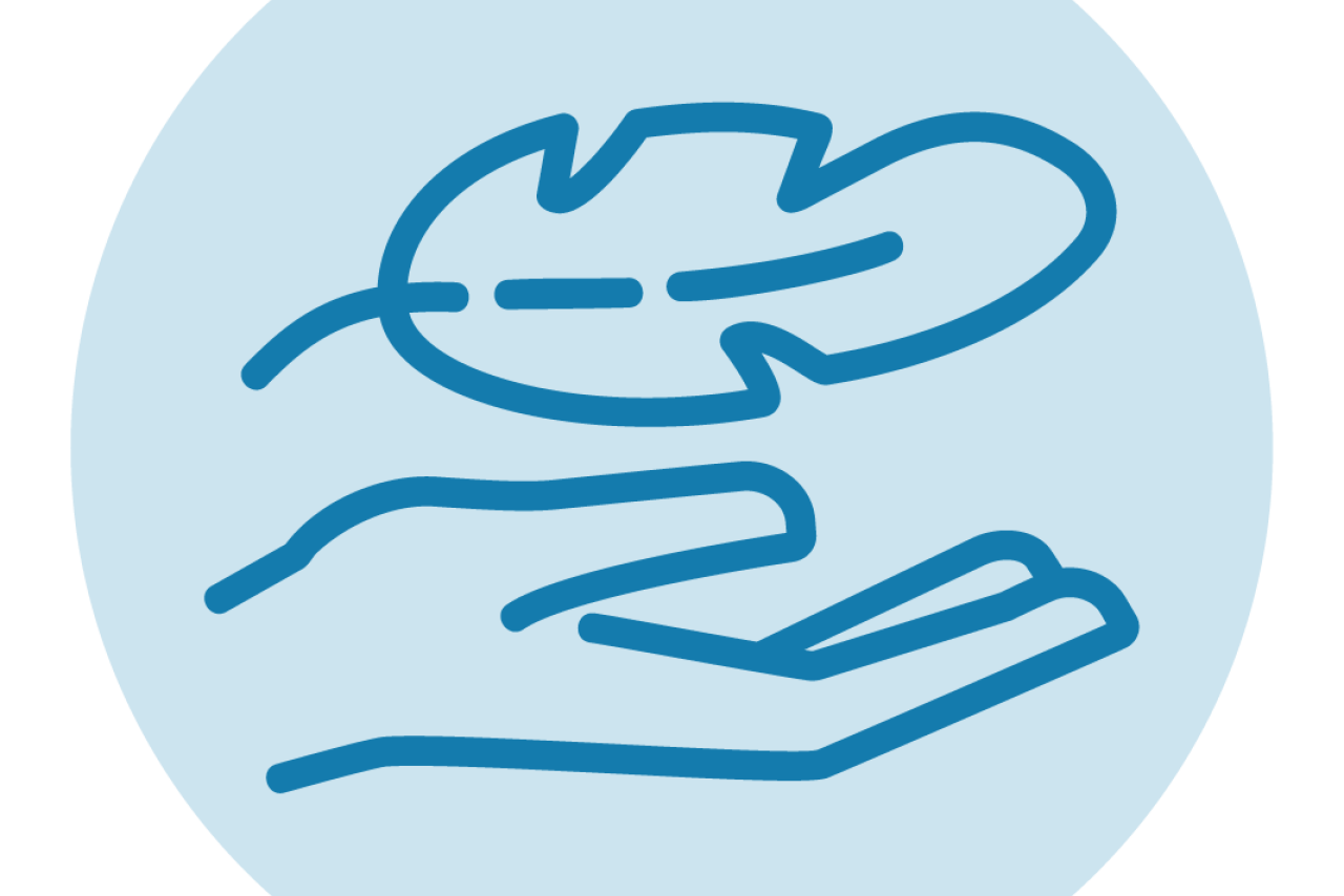 An icon showing a hand holding a feather