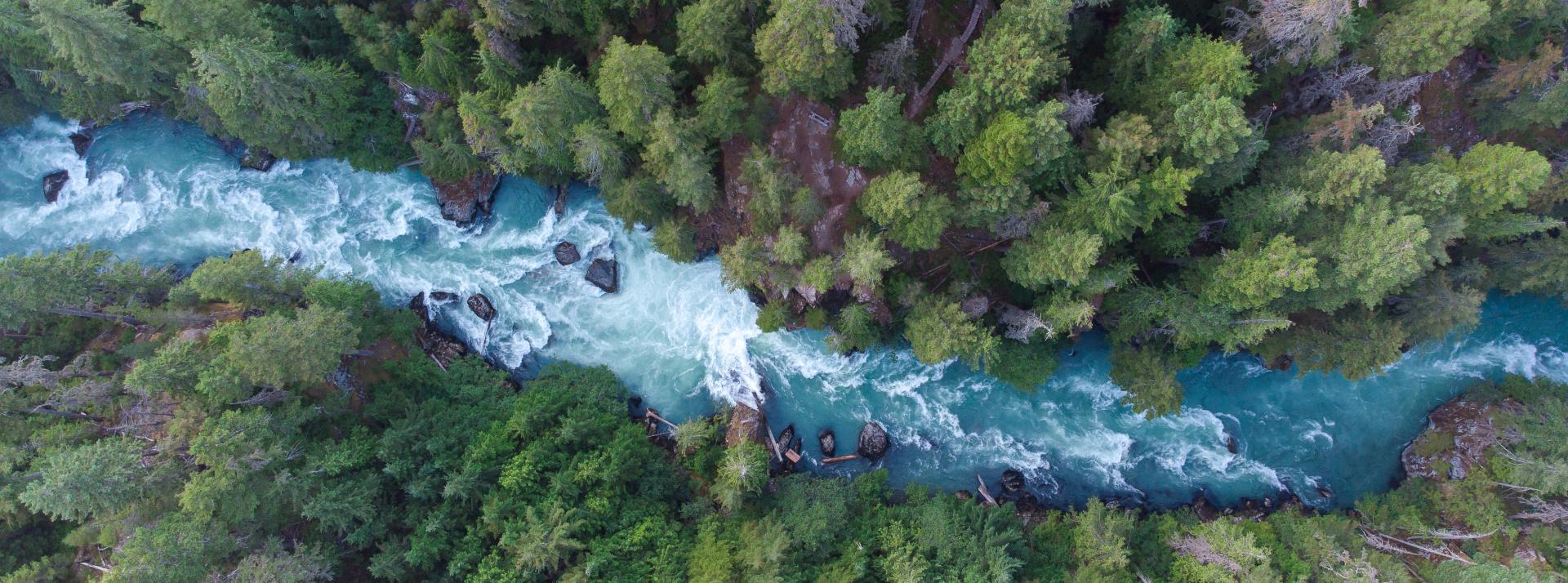 a drone photo from the sky of a winding river in a thick forest