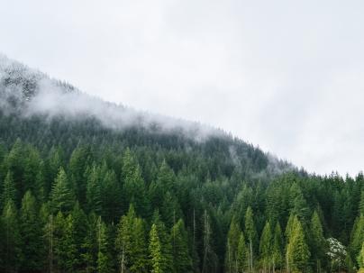 North shore mountains
