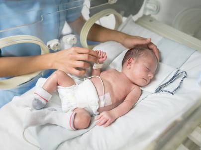  nurse caressing a newborn baby in an incubator while he sleeps