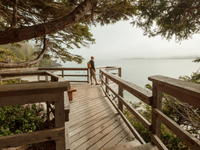 Stock image of person standing by the water on wooden walkway