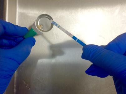 Closeup of two gloved hands testing a sample using a Fentanyl test strip