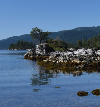 Sunshine Coast shoreline