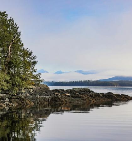 Foggy coastline near Bella Bella